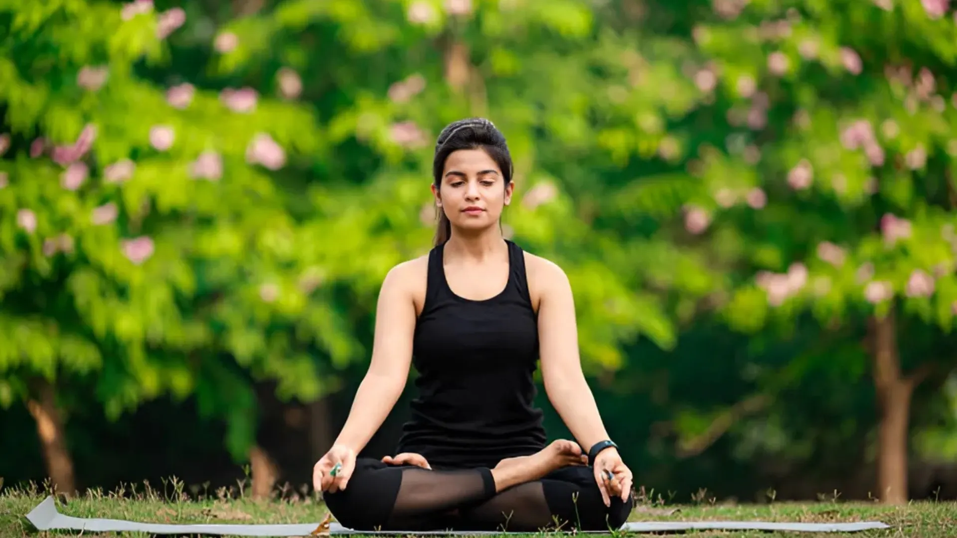 Meditation Training