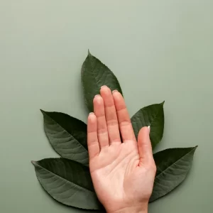 The Power of Pranic Healing